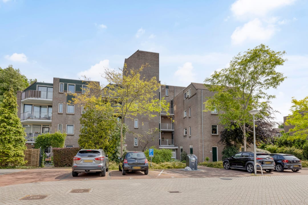 Foto 1 van Koraalzwam 107