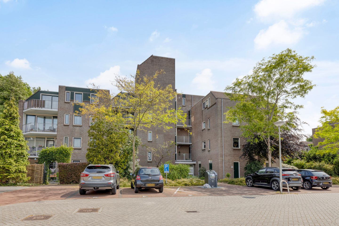 Foto 1 van Koraalzwam 107