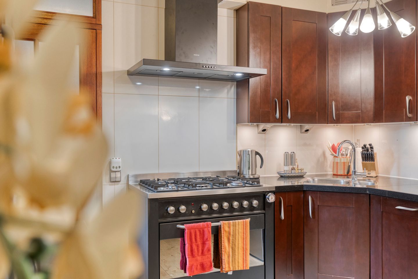 Foto 14 van Koraalzwam 107