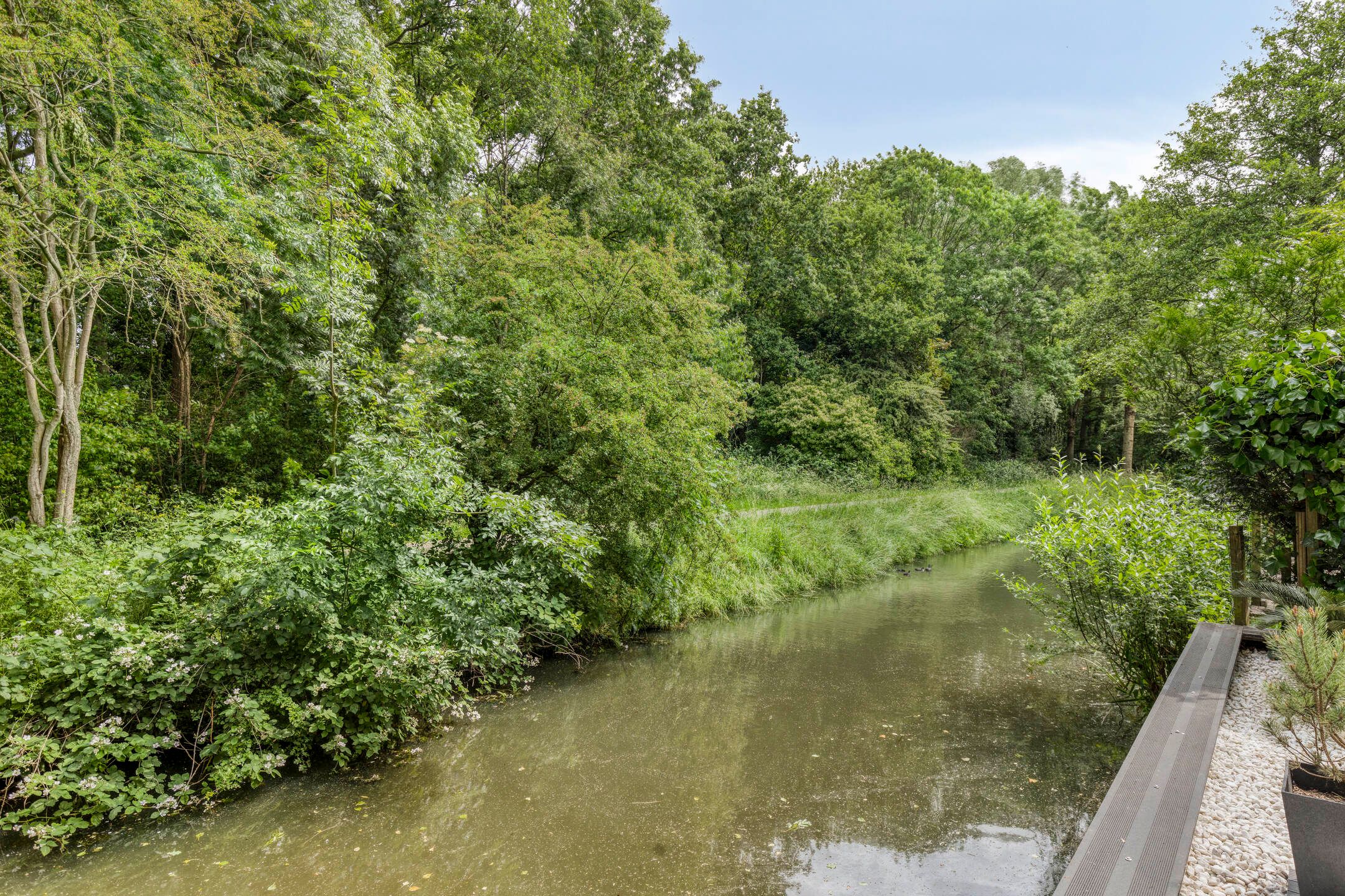 Foto 21 van Koraalzwam 107