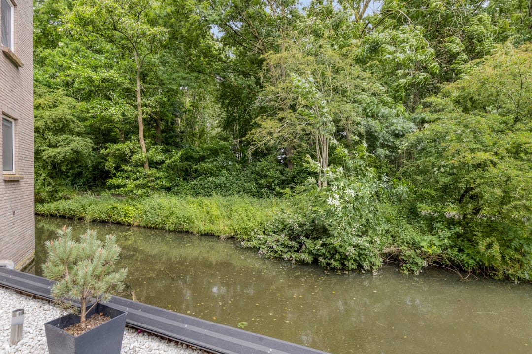 Foto 22 van Koraalzwam 107