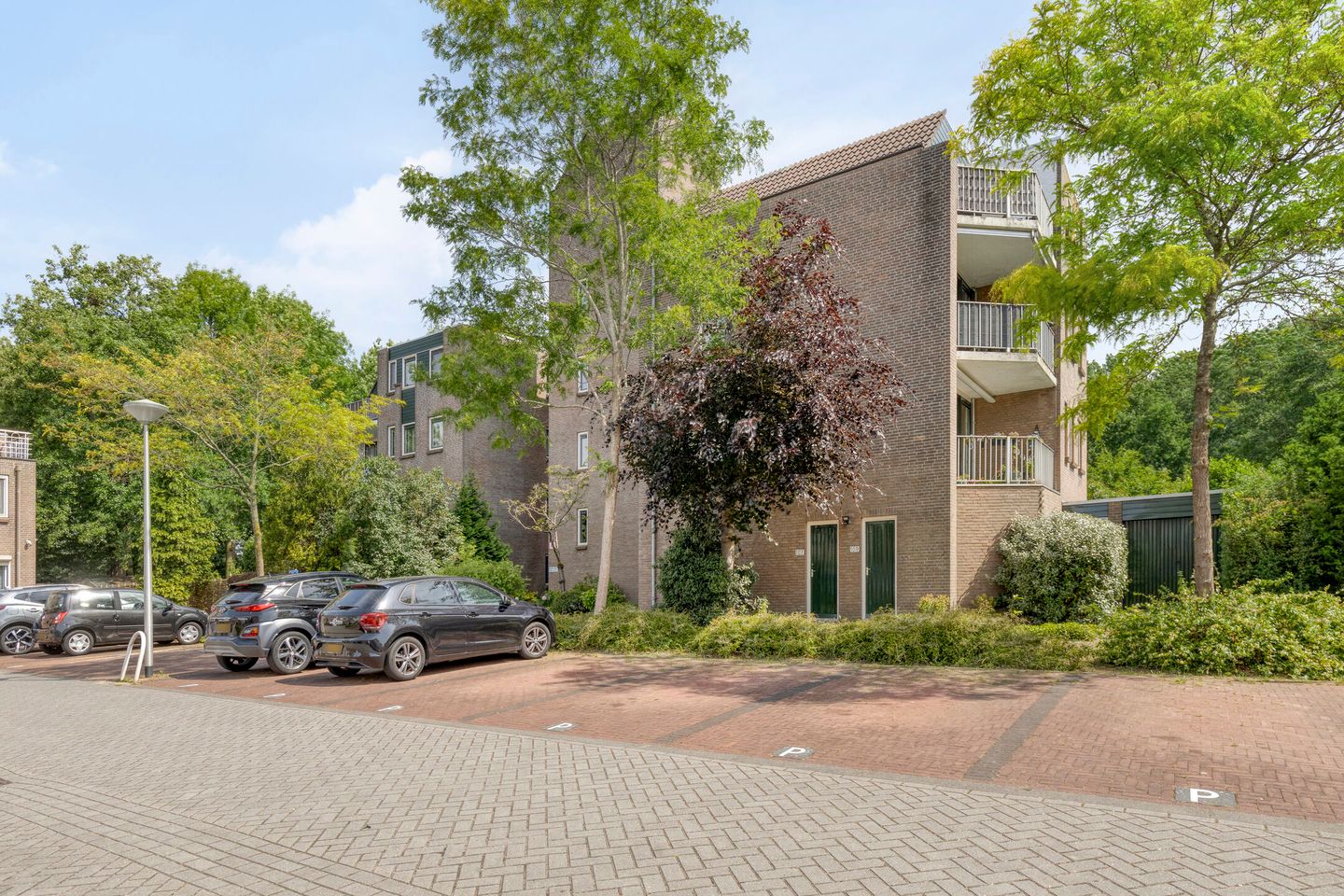 Foto 5 van Koraalzwam 107