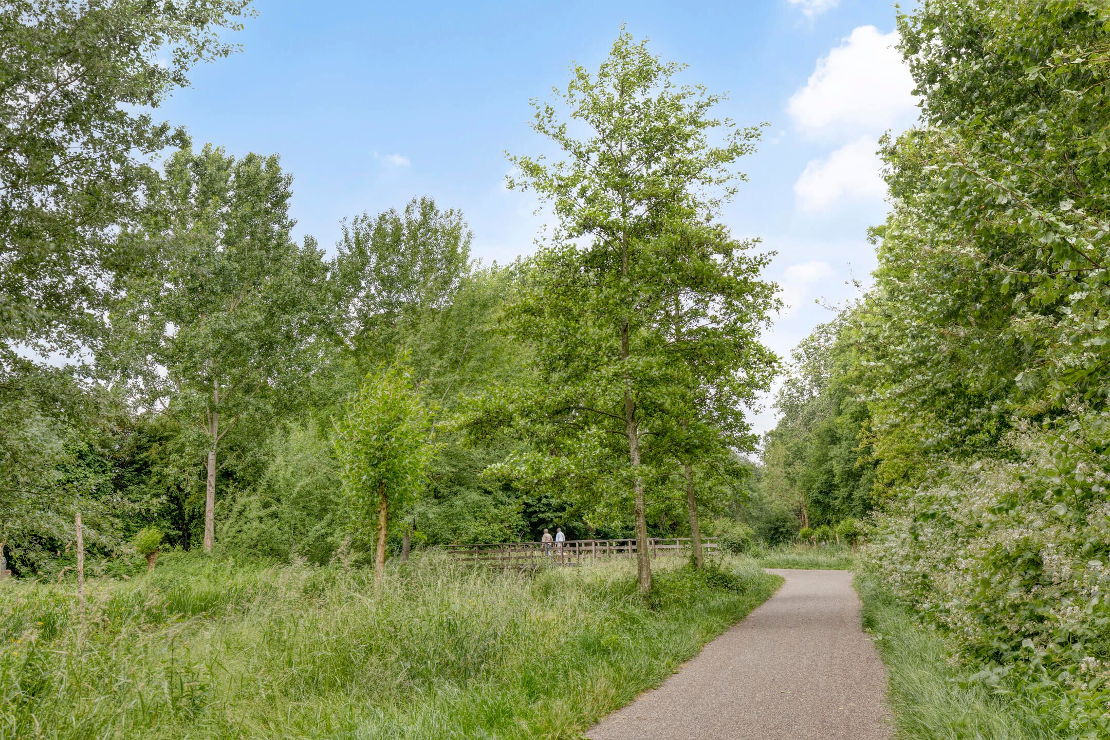 Foto 30 van Koraalzwam 107