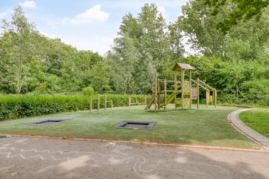 Foto 31 van Koraalzwam 107