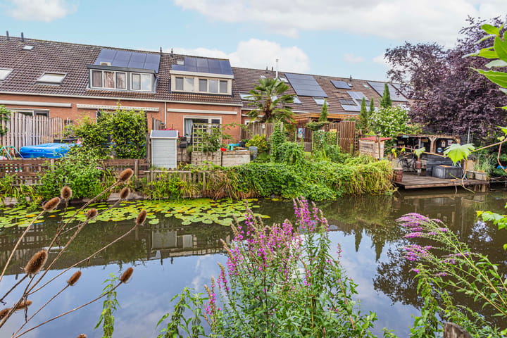 Foto 40 van Kamelenspoor 63