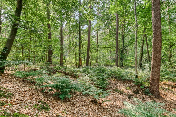 Foto 29 van De Valouwe 26