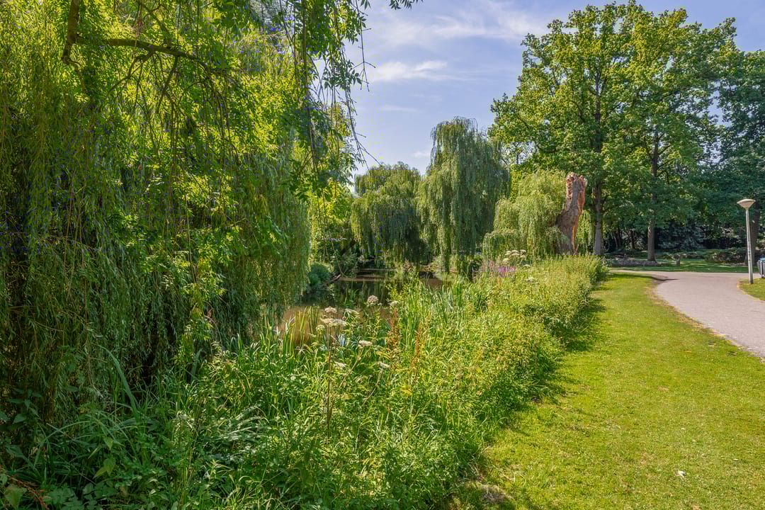 Foto 41 van Zwembadweg 17