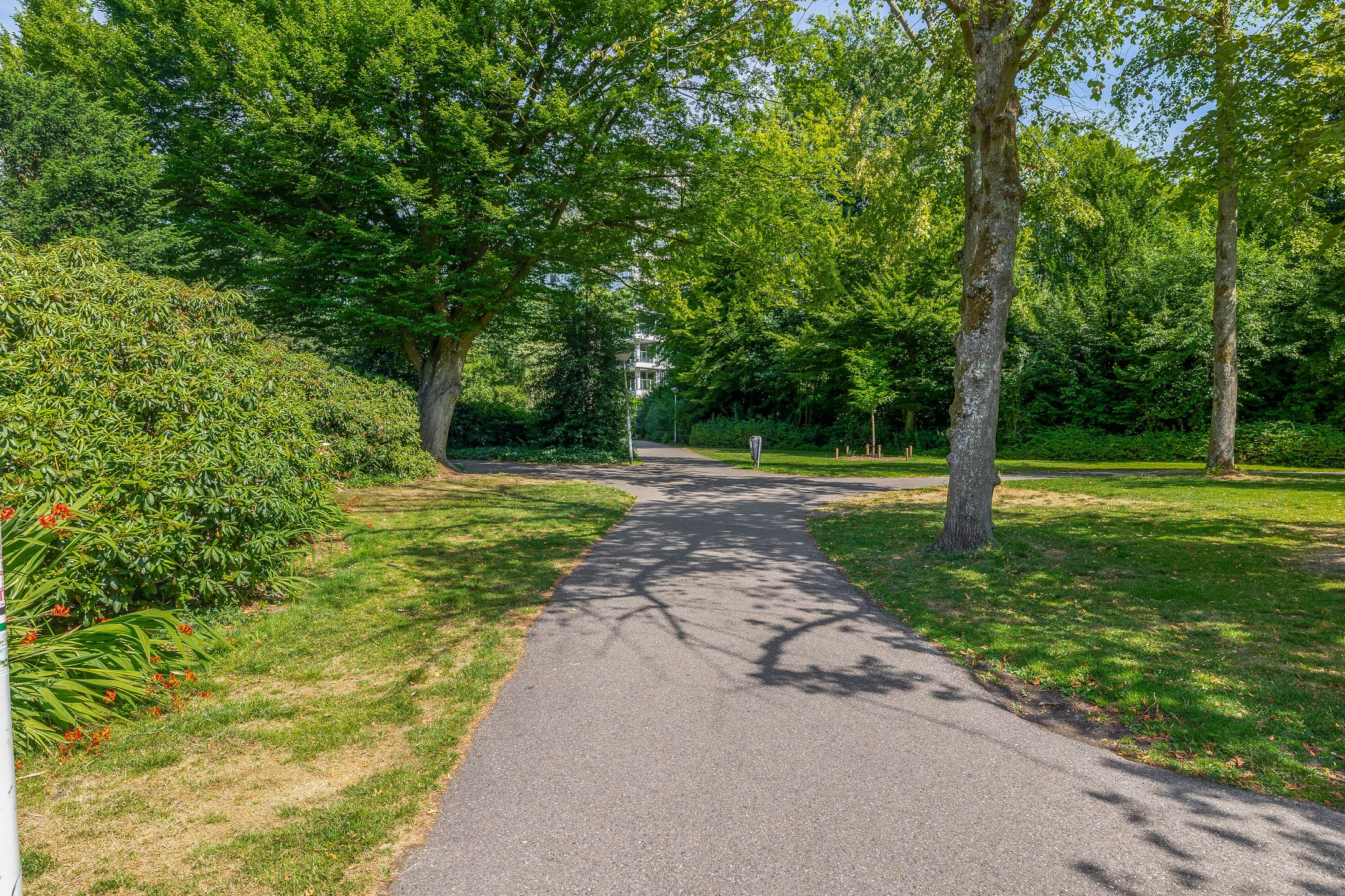 Foto 42 van Zwembadweg 17