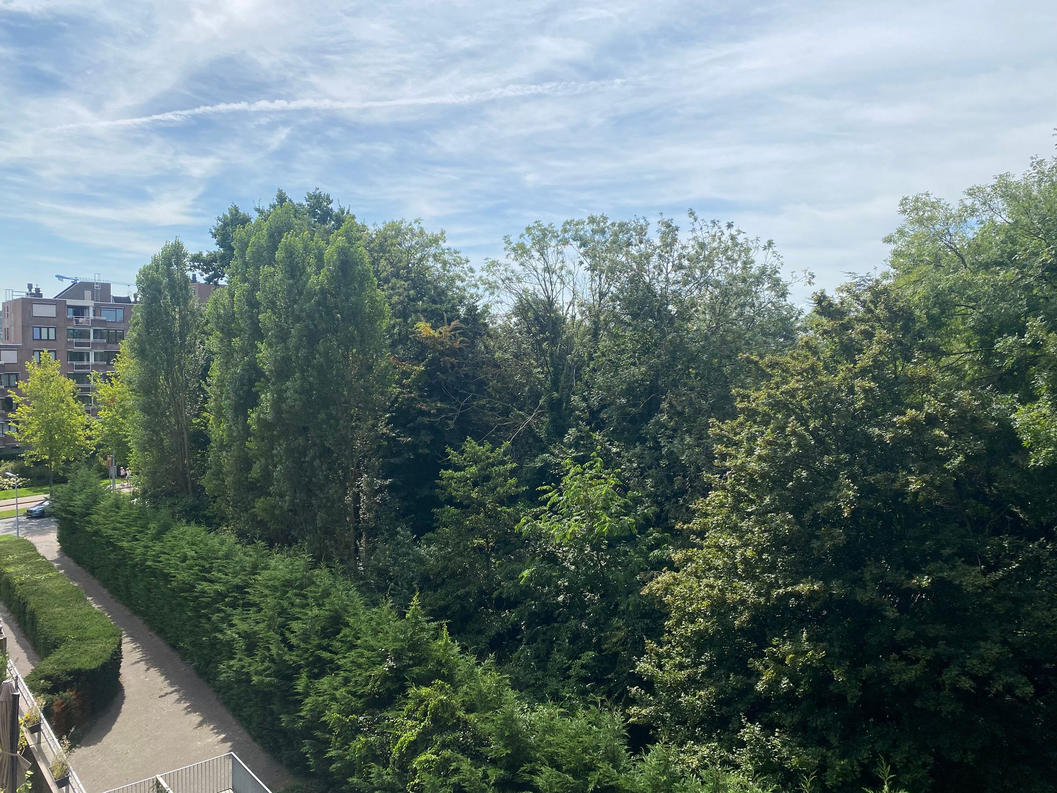 Photo 27 of Antje Breijerstraat 217