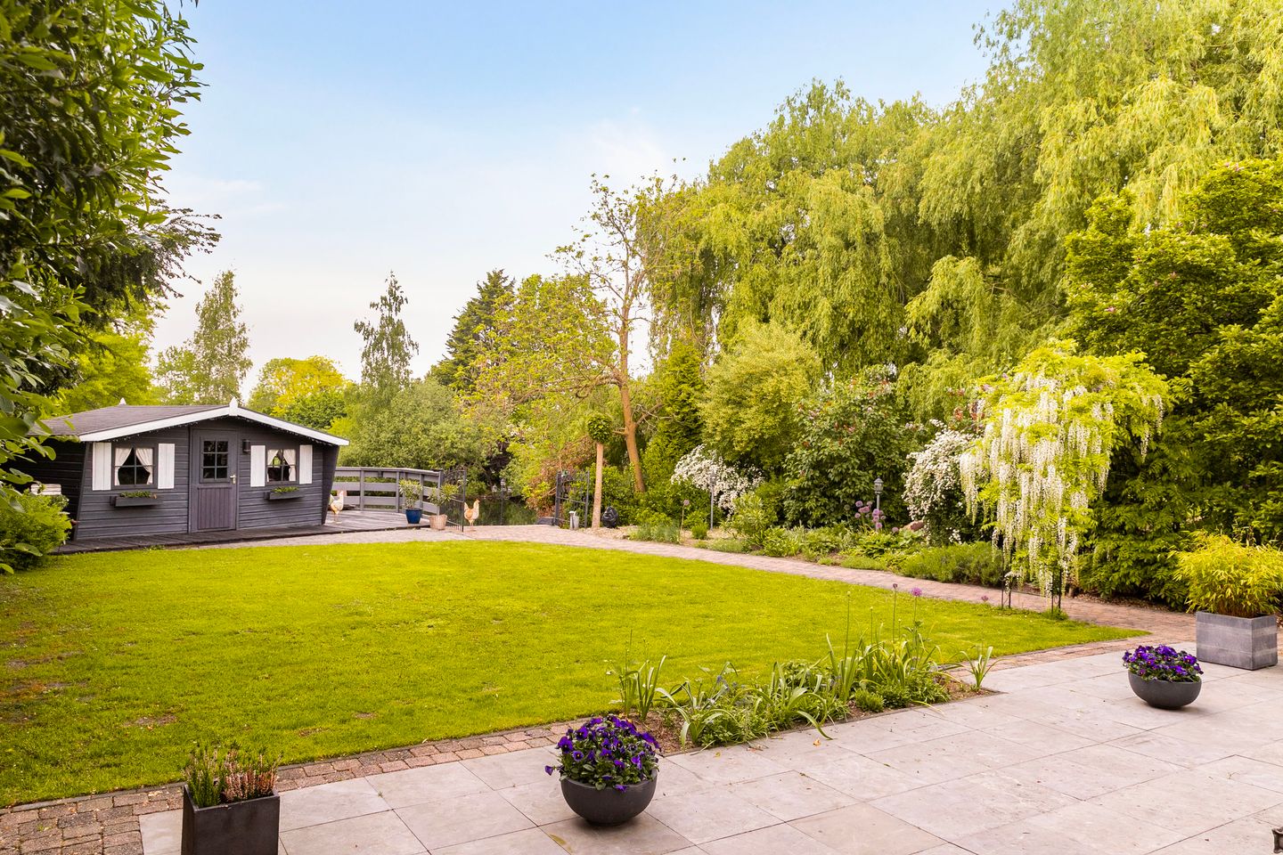 Foto 10 van Hegdambroek 2221