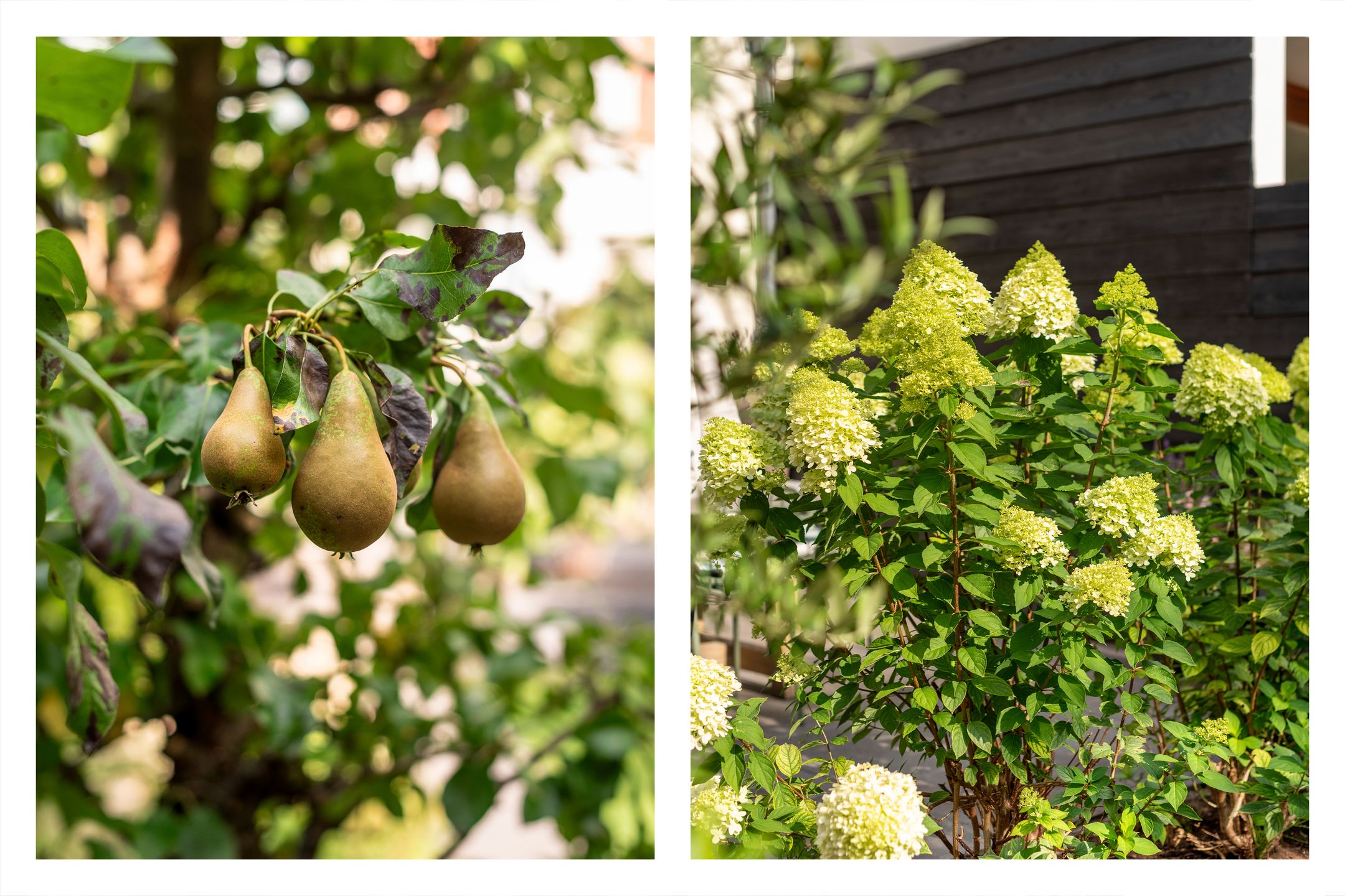 Foto 21 van Landzichtlaan 38