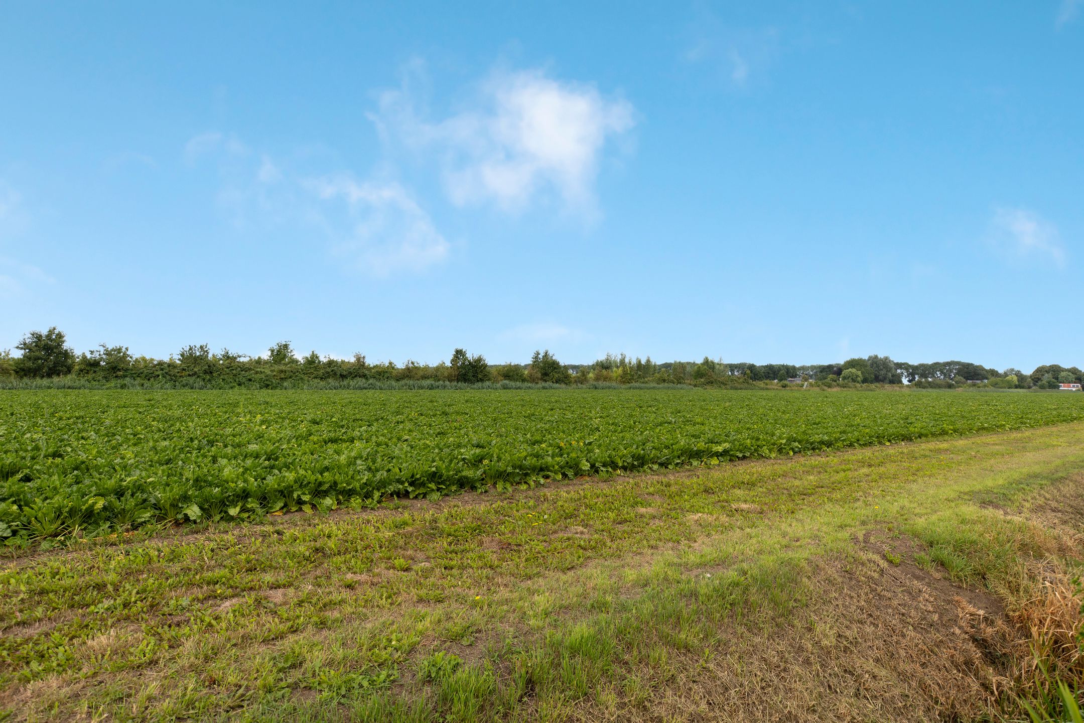 Foto 3 van Schenkeldijk 55