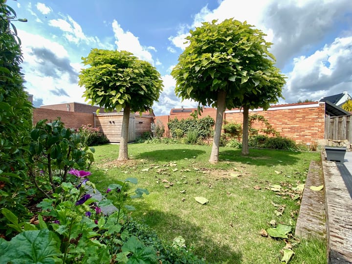 Foto 31 van Schilbergerstraat 24