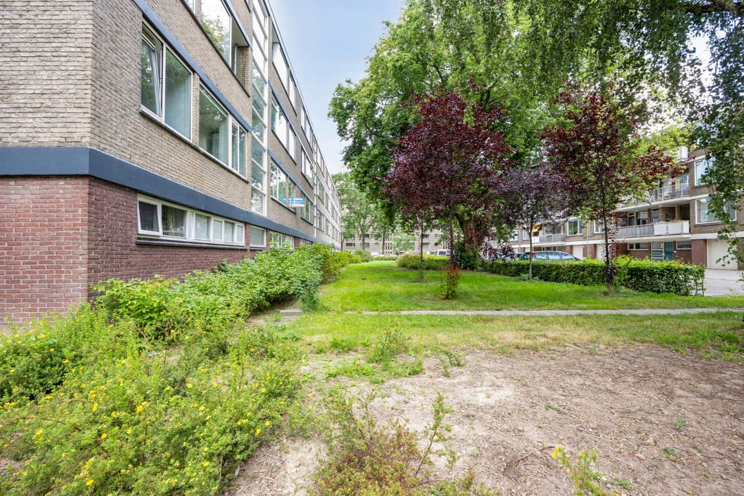 Foto 13 van Drijfhoutstraat 1