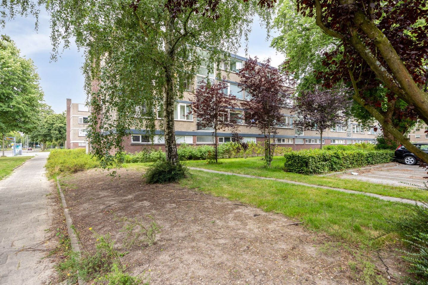 Foto 14 van Drijfhoutstraat 1
