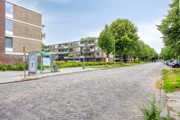 Foto 29 van Drijfhoutstraat 1