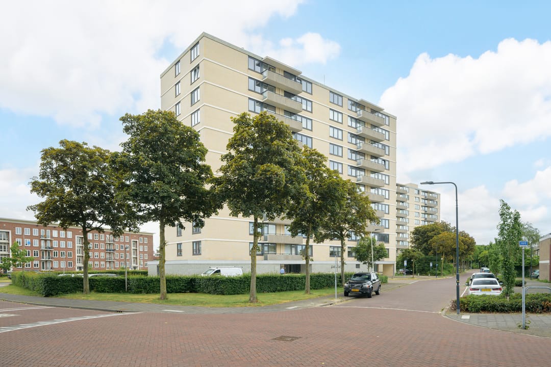 Photo 7 of Grote Spie 245