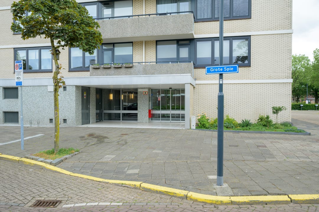 Photo 8 of Grote Spie 245