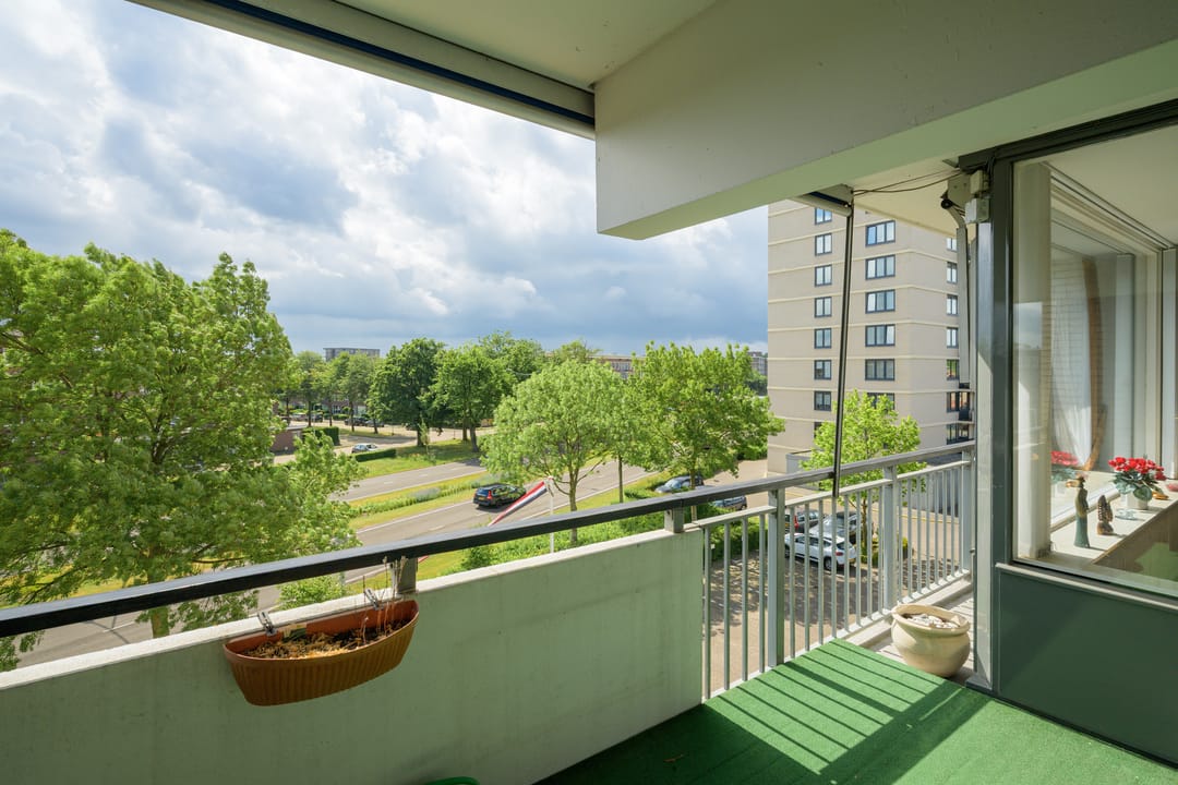 Photo 23 of Grote Spie 245