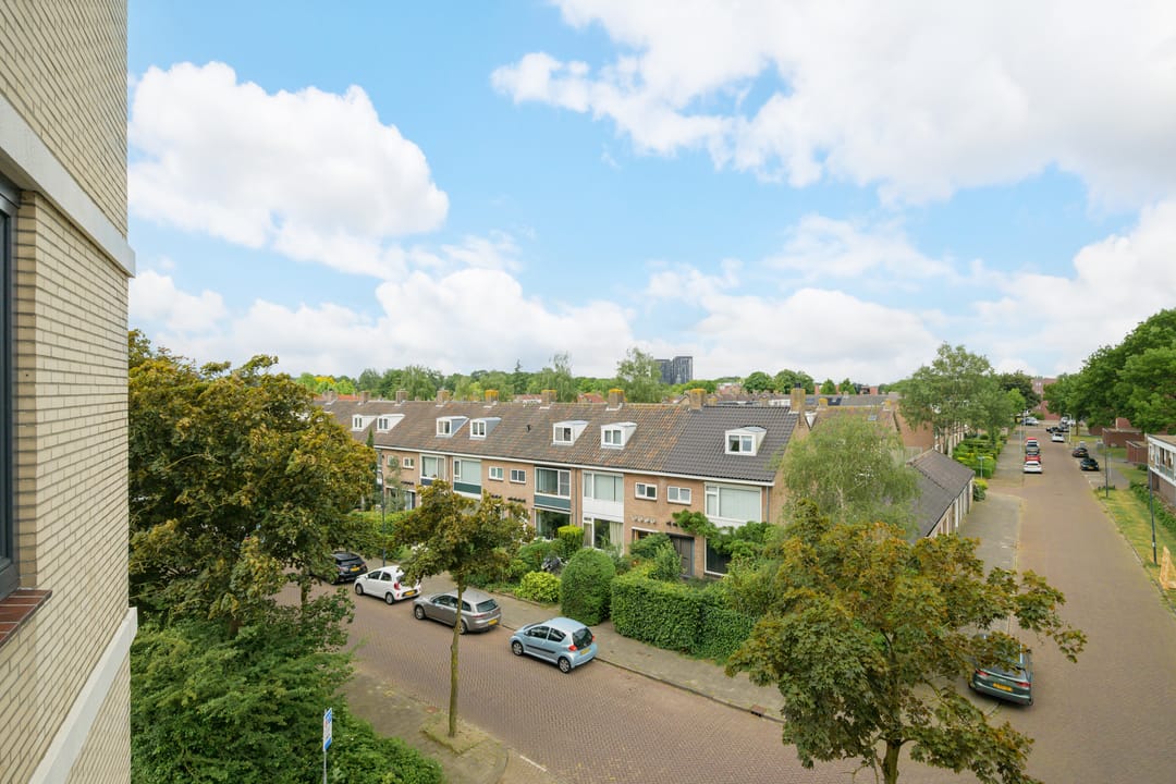 Photo 38 of Grote Spie 245