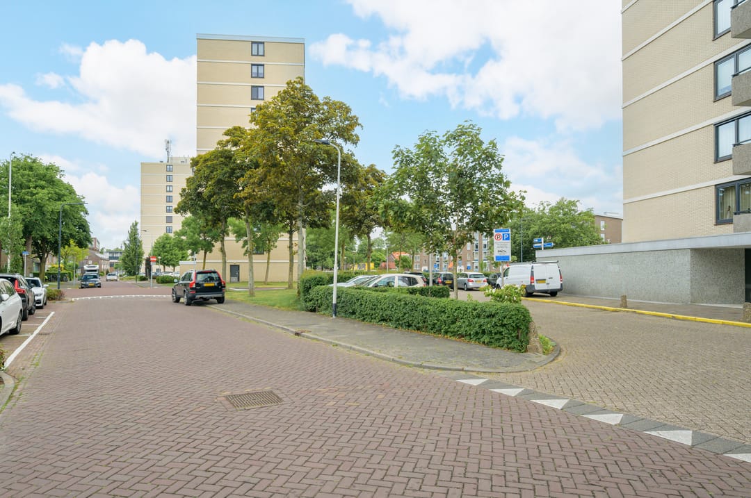 Photo 52 of Grote Spie 245