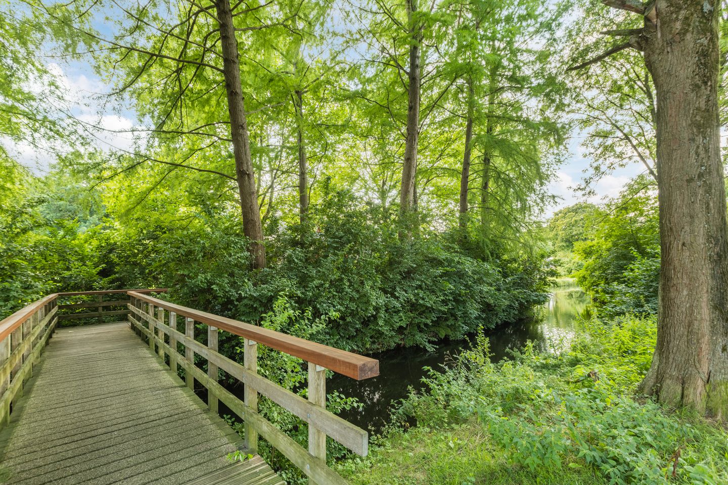 Foto 35 van Van den Bergstraat 4