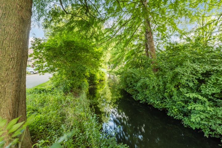 Foto 36 van Van den Bergstraat 4