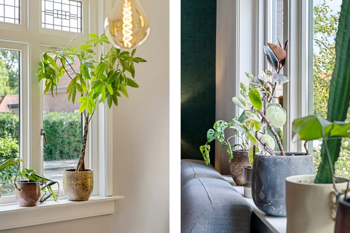 Foto 17 van Molenstraat 153