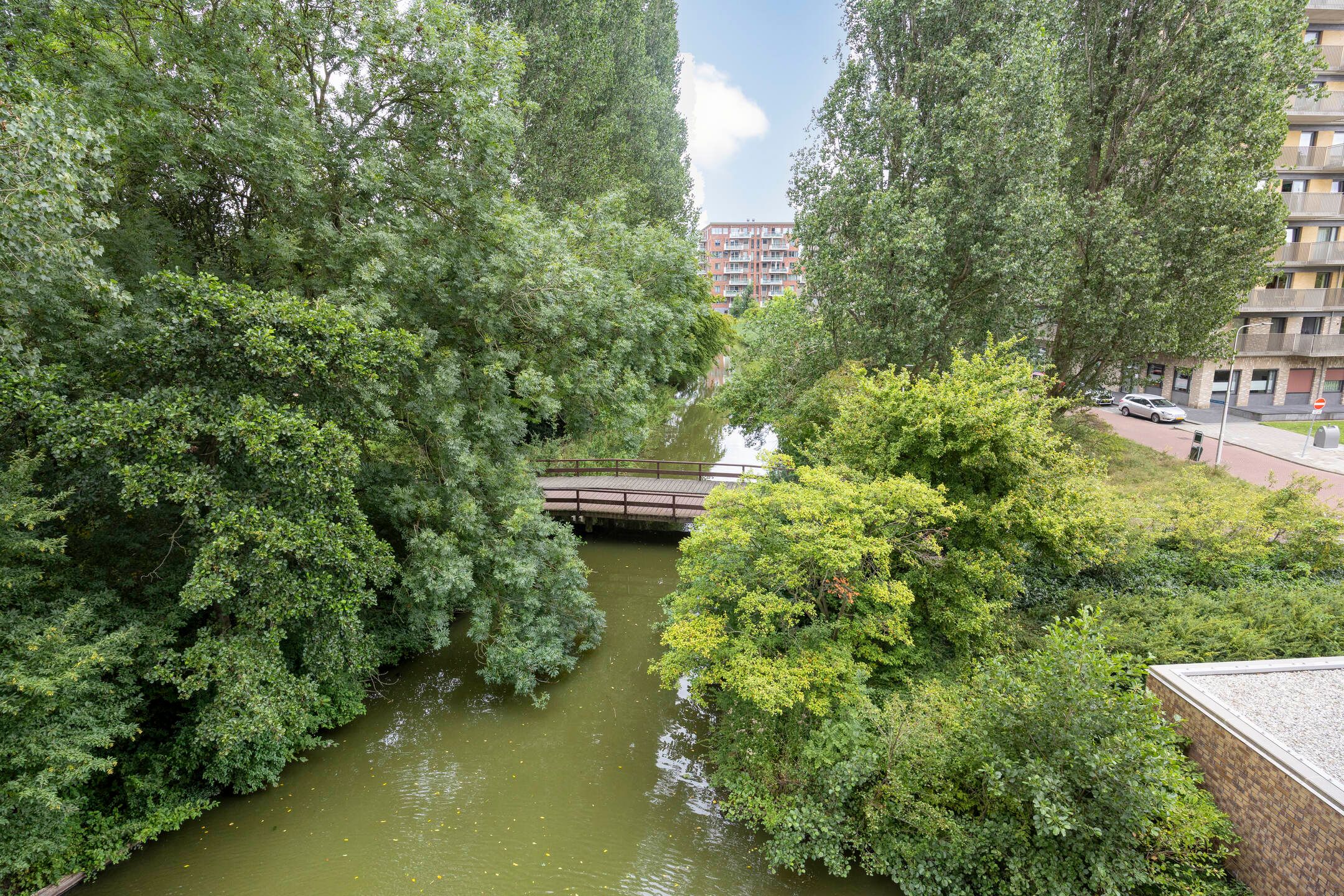 Foto 3 van Laan van de Helende Meesters 324