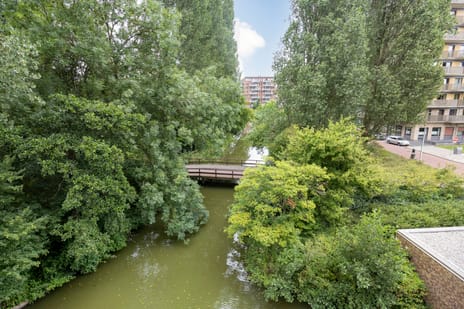 Laan van de Helende Meesters 324 tertiary image