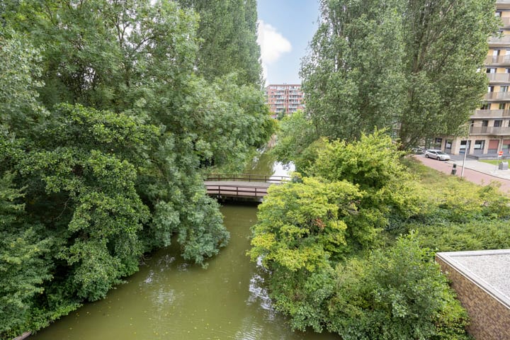 Foto 3 van Laan van de Helende Meesters 324