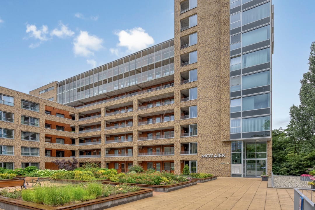 Foto 2 van Laan van de Helende Meesters 324