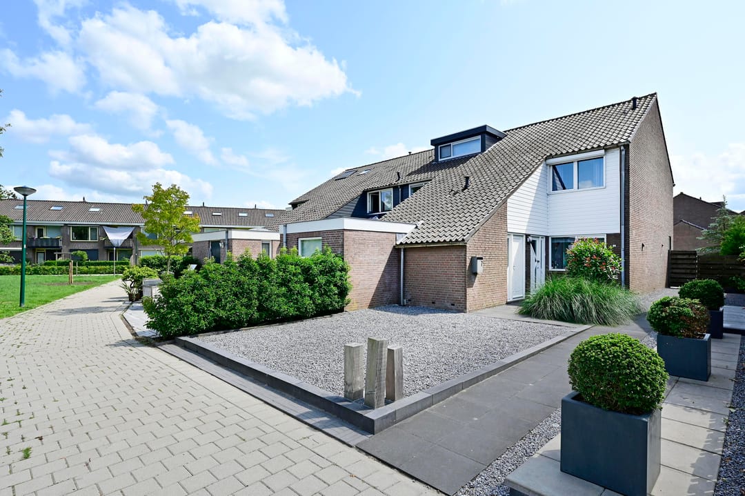 Foto 1 van Scholekster 7