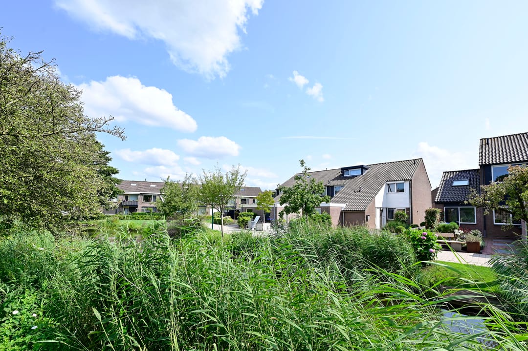 Foto 2 van Scholekster 7