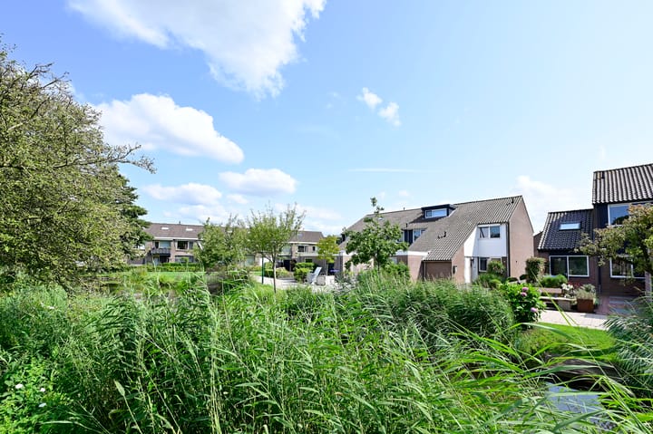 Foto 2 van Scholekster 7