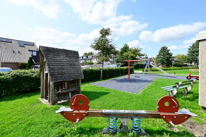 Foto 3 van Scholekster 7