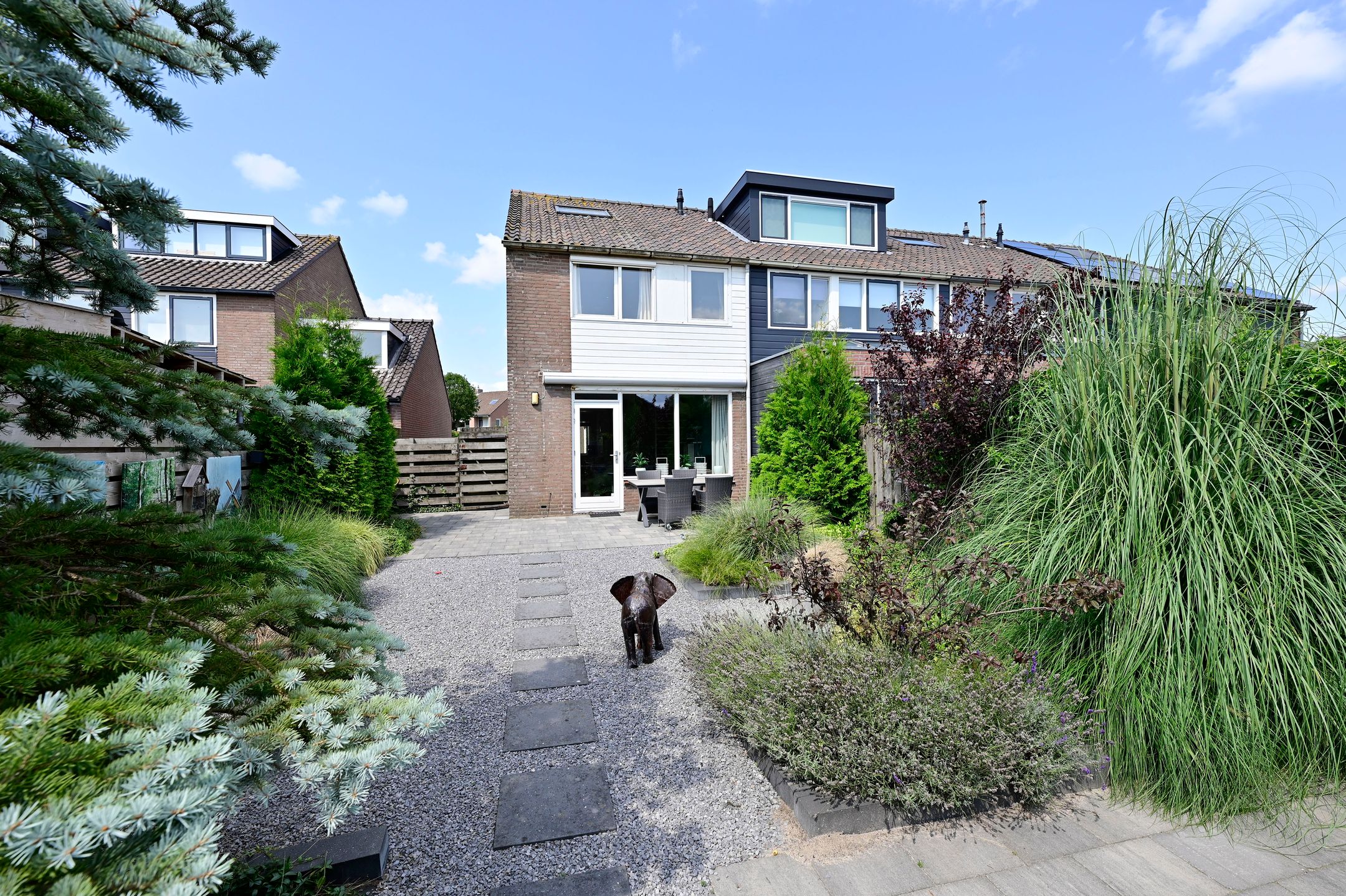 Foto 21 van Scholekster 7