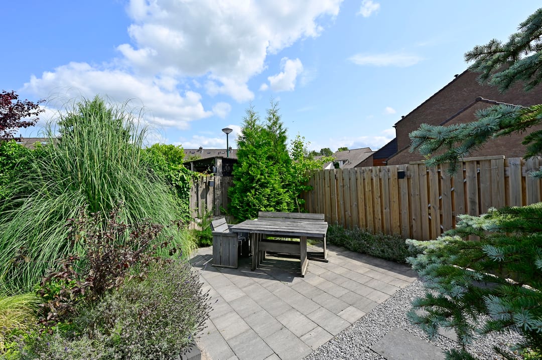 Foto 23 van Scholekster 7