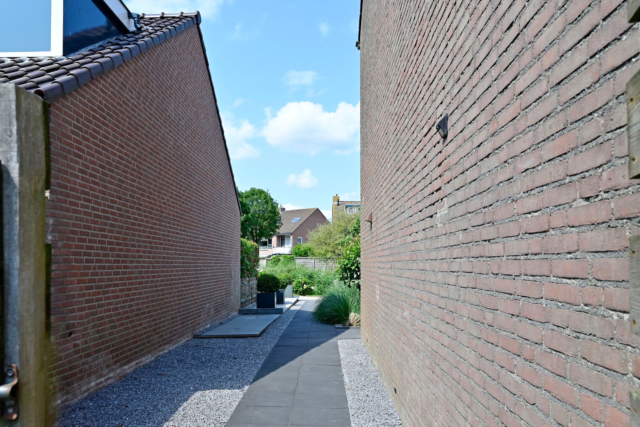 Foto 24 van Scholekster 7