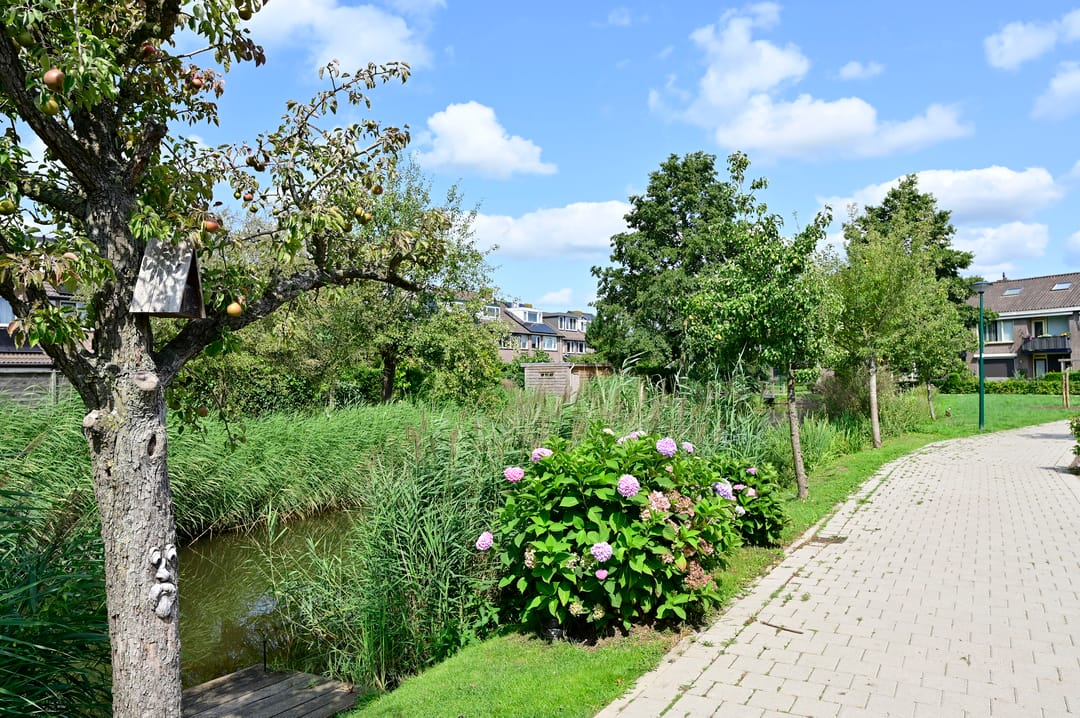 Foto 26 van Scholekster 7