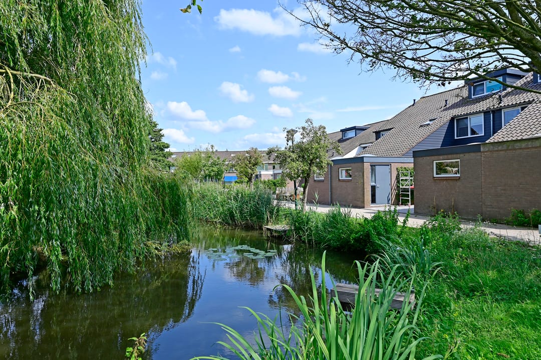 Foto 28 van Scholekster 7