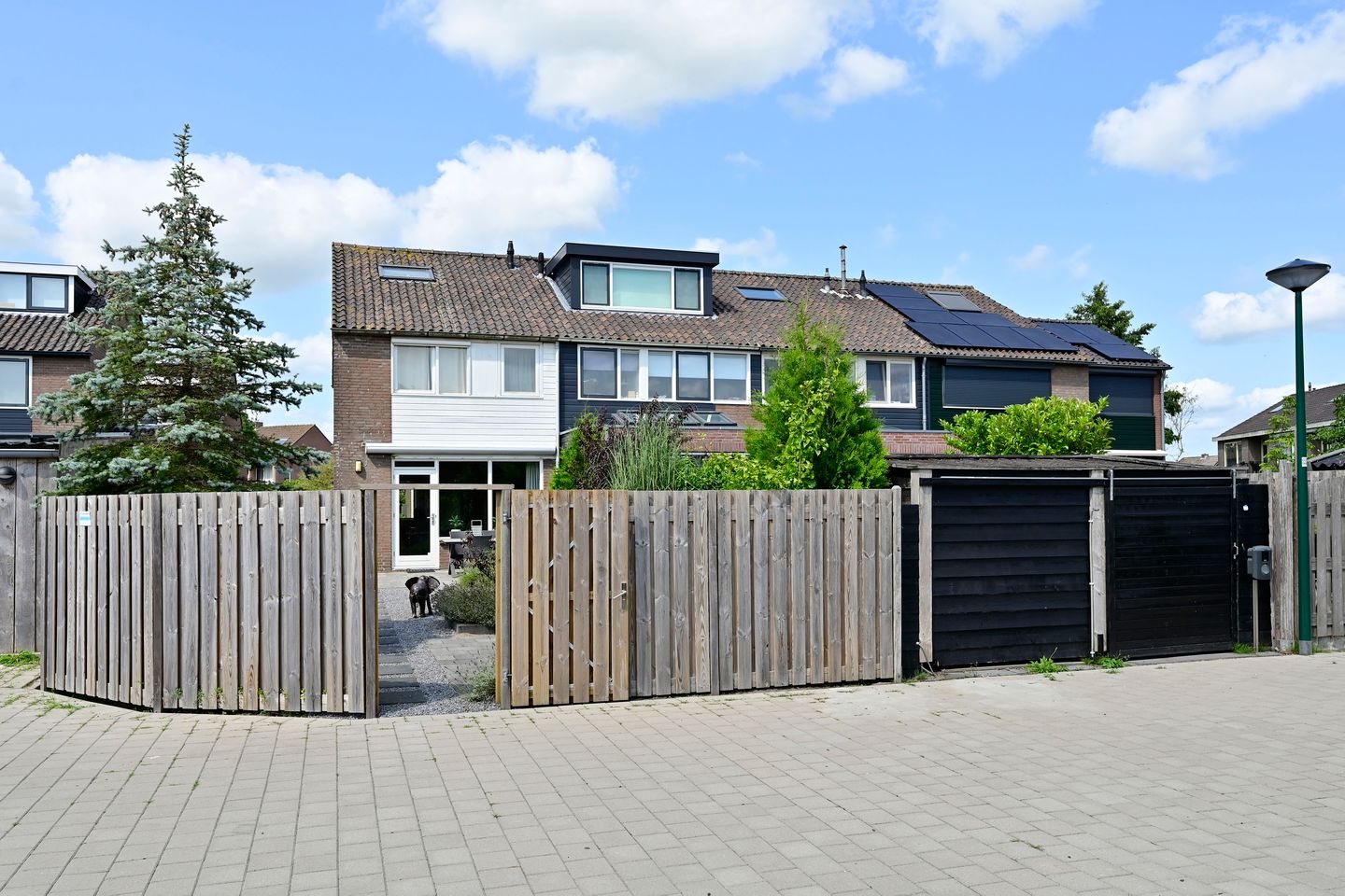 Foto 29 van Scholekster 7