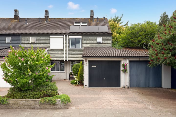 Foto 1 van Groen van Prinstererlaan 45