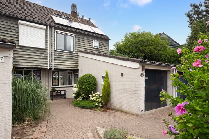 Foto 5 van Groen van Prinstererlaan 45