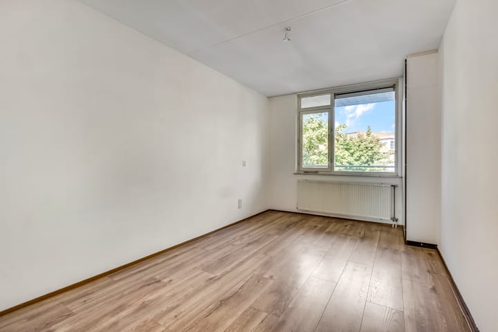 Foto 9 van Luttikenerf 50