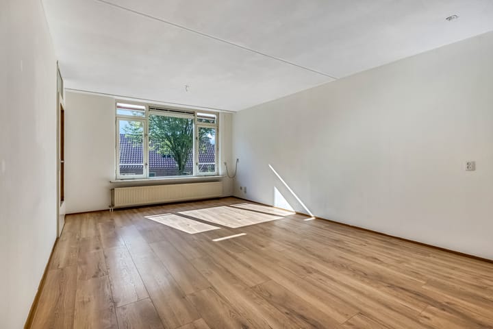 Foto 6 van Luttikenerf 50