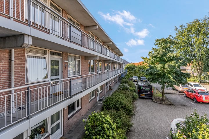 Foto 25 van Luttikenerf 50