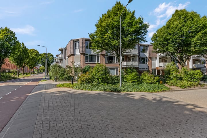 Foto 38 van Luttikenerf 50