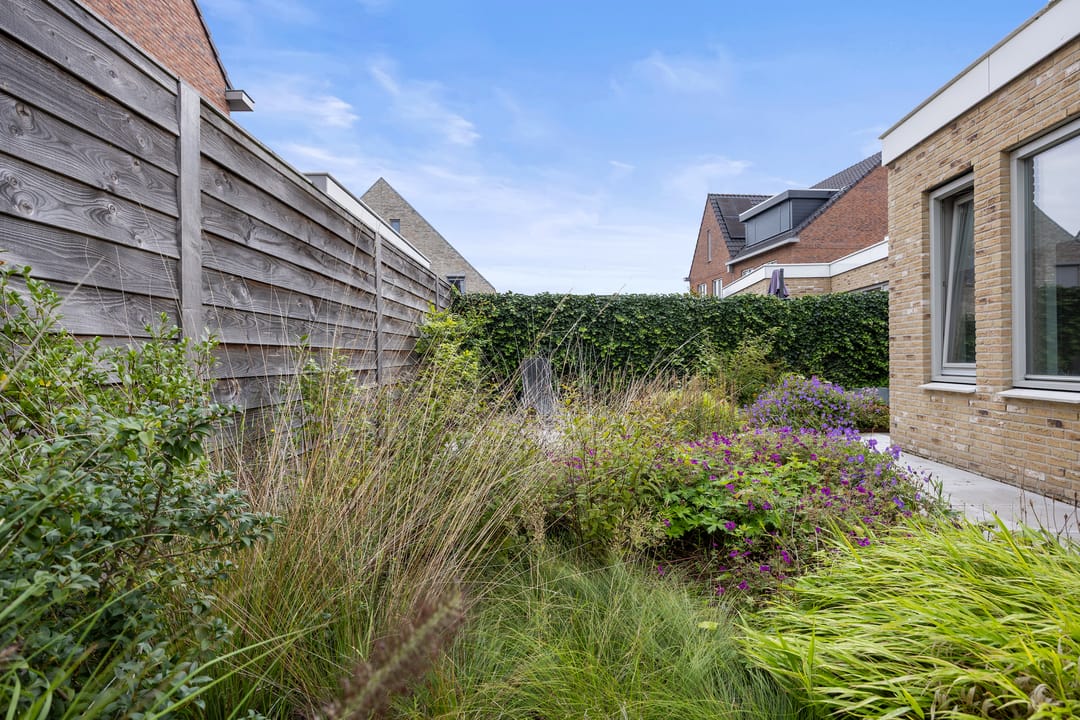 Photo 38 of Venrode 46