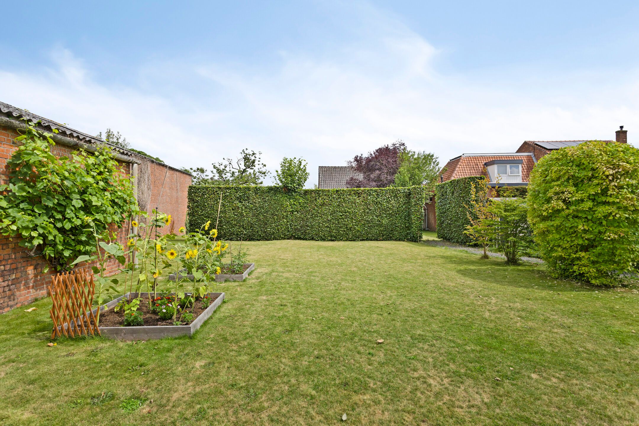 Foto 24 van Roskamstraat 29